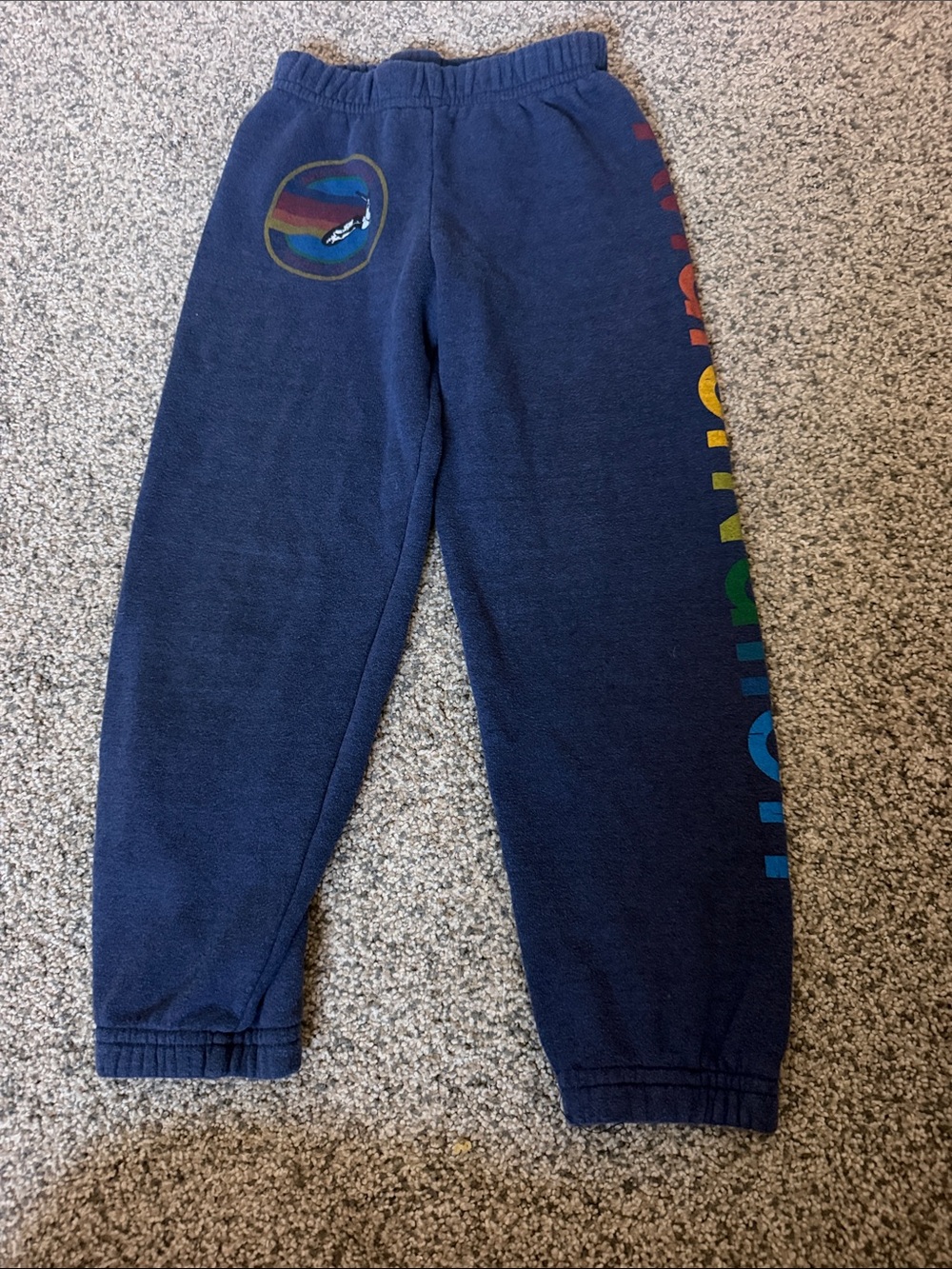 Aviator Nation Navy Sweatpants with Rainbow Side Logo
